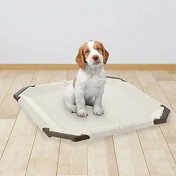 Richell Paw Trax Mesh Potty Pad Holder