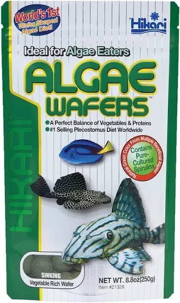 Hikari Algae Wafers