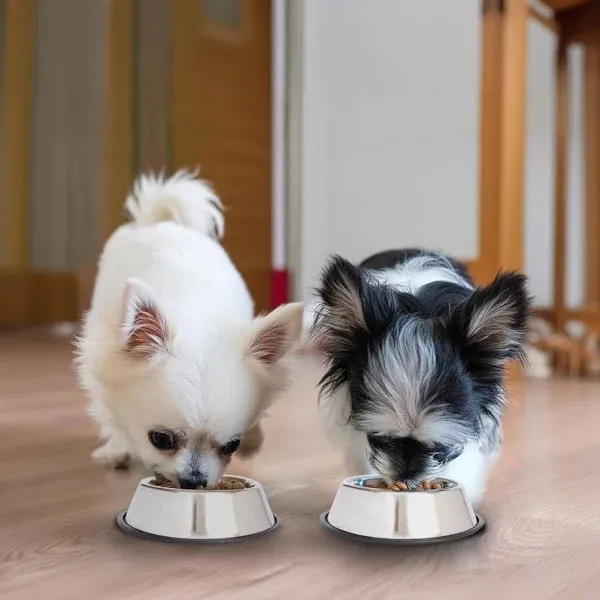 Iconic Pet Heavy Weight Non-Skid Pet Bowl