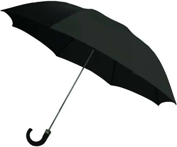 2-Fold Auto Open Umbrella