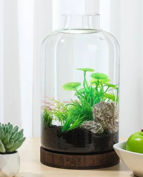 PONDON 1.3 Gallon Fish Bowl Vase, Glass Plant Terrarium Kit, Complete with Wooden Base and Water Changer