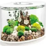 biOrb Loop 15 Aquarium with MCR Light - 4 Gallon, White