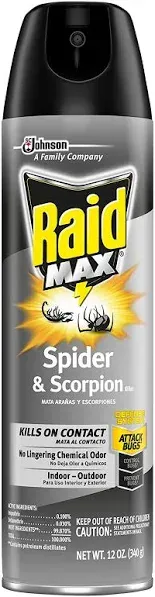 Raid Max Scorpion & Spider Killer 12 oz