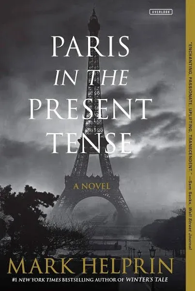 Paris in the Present Tense: A Novel