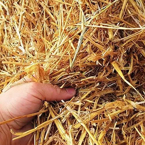 100% All Natural Wheat Straw