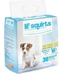 Ruffin' It Lil' Squirt Training Pads, 30 Pack