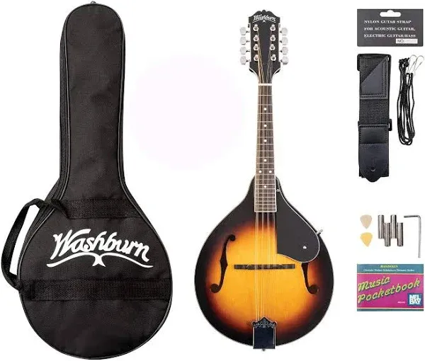 Washburn Style Mandolin