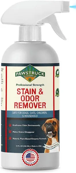 Professional Strength Stain & Odor Remover