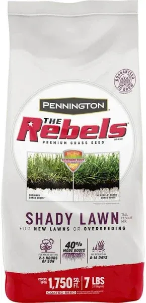 Pennington The Rebels Tall Fescue Shady Grass Seed Mix - 20 lb