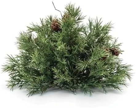 Mixed Pine Half Orb with Pinecones (Set of 2)