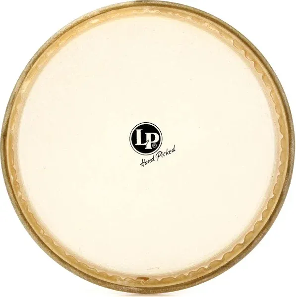 Latin Percussion Rawhide Conga Head - 11-3/4&#034; - Conga