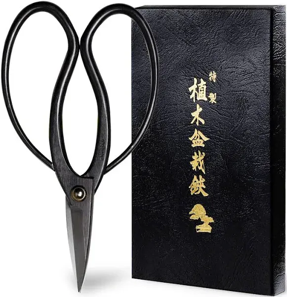 Wazakura Bonsai Scissors MADE IN JAPAN 7inch(180mm), Japanese Bonsai Garden Tools, Hasami Pruning Shears