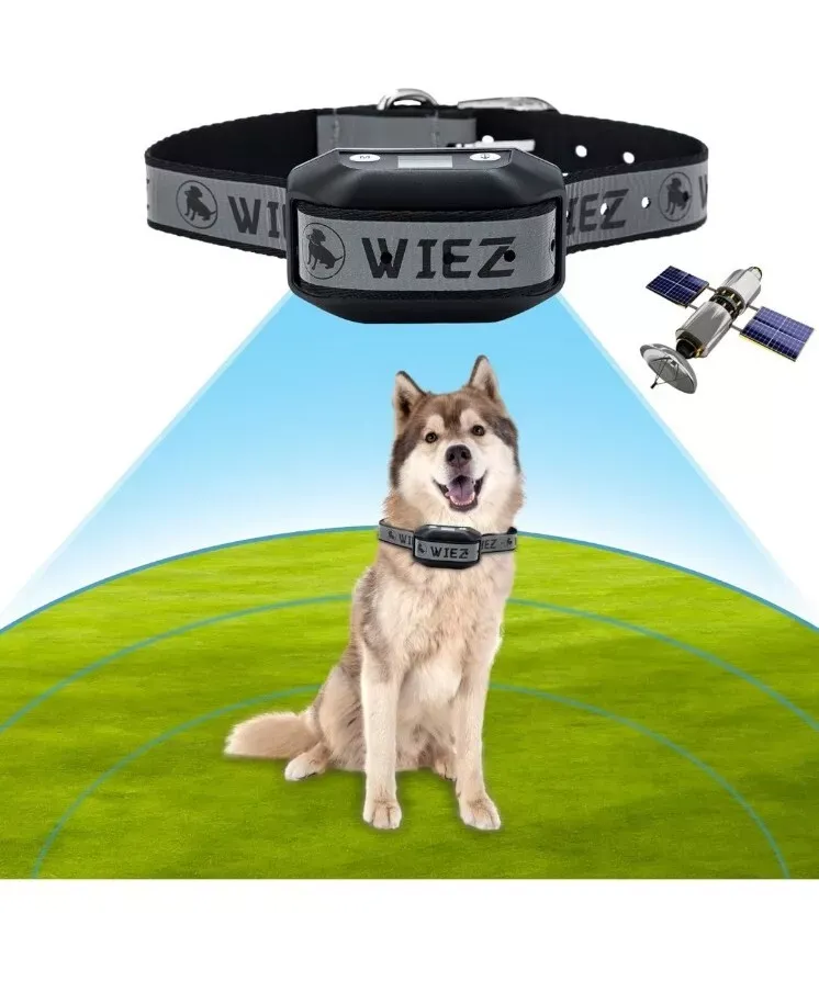 GPS Wireless Dog Fence