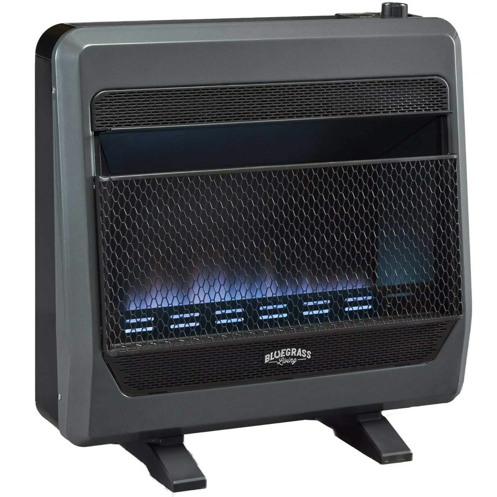 Bluegrass Living Propane Gas Vent Free Blue Flame Gas Space Heater with Blower and Base Feet