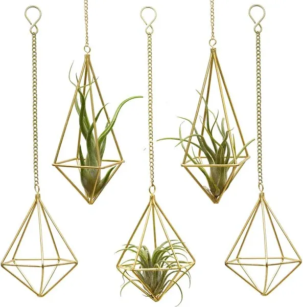 4 Geometric Hanging Tillandsia  Gold Metal Air Plants Holders Grass String (BB)