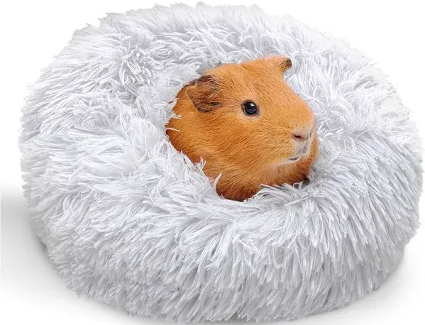 Paw Inspired Furr-O Burrowing Pet Bed