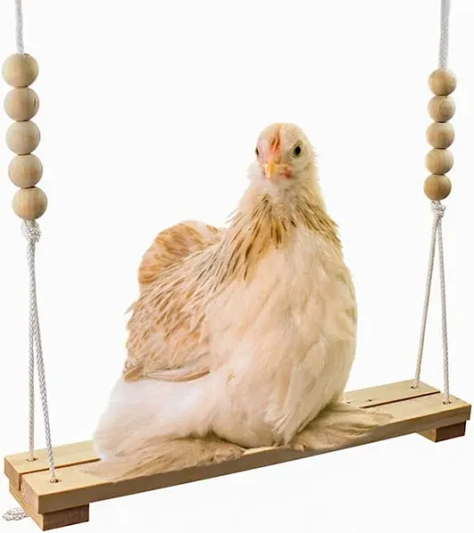 Chicken Swing Toy for Coop Handmade in USA!!! Natural Safe Wooden Accessories...