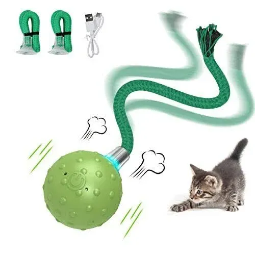 Interactive Cat Toys for Bored Indoor Adult Cats, Automatic Fast Move On Carp...