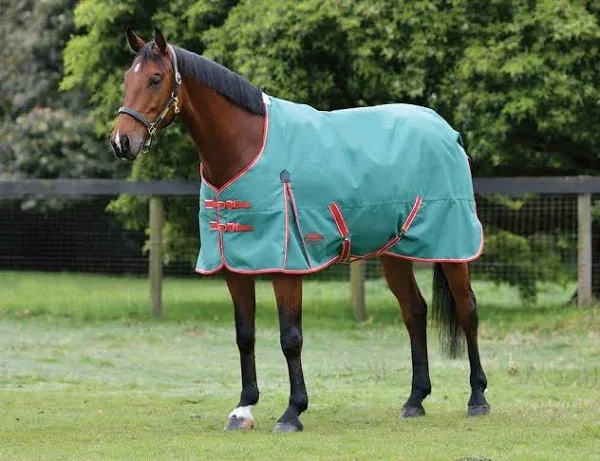 WeatherBeeta ComFITec Prelim Standard Neck Horse Turnout Blanket