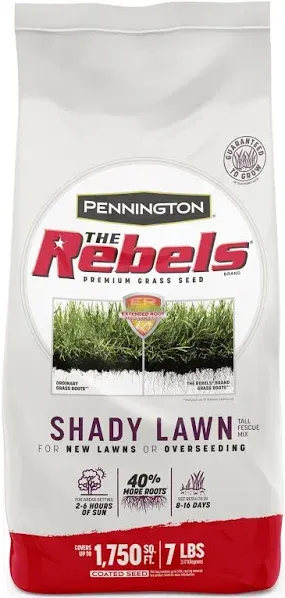 Rebels Tall Fescue Grass Seed, for Sun to Partial Shade, 3 Lb.