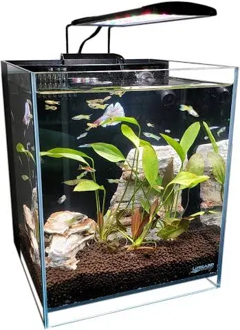 Lifegard Aquatics Crystal Elevated Low Iron Ultra Clear Aquarium with Built-in Filter