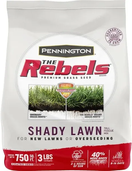 Pennington Rebels Tall Fescue Grass Seed