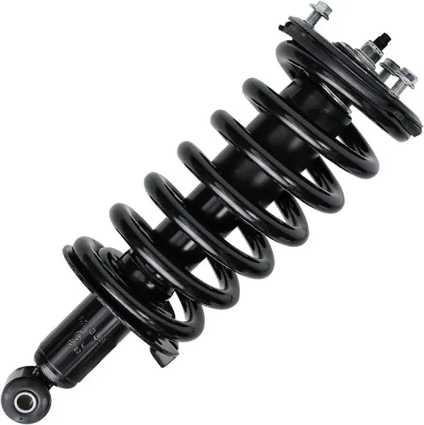 Detroit Axle Front Strut w/Coil Spring Assembly Replacement For Ford F-150 Lincoln Mark LT 171362 x2