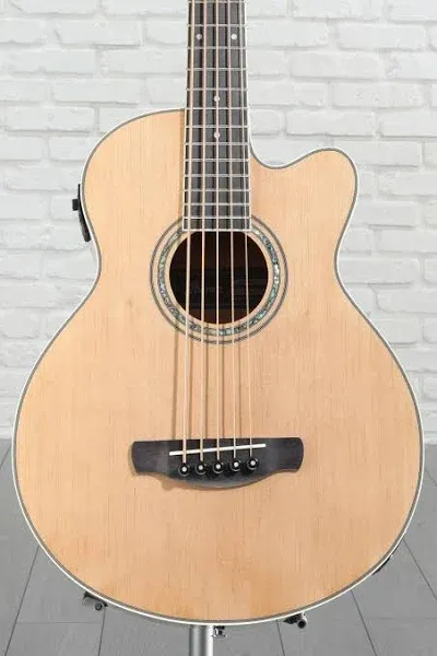 Ibanez AEB105E Acoustic-Electric 5-String Bass