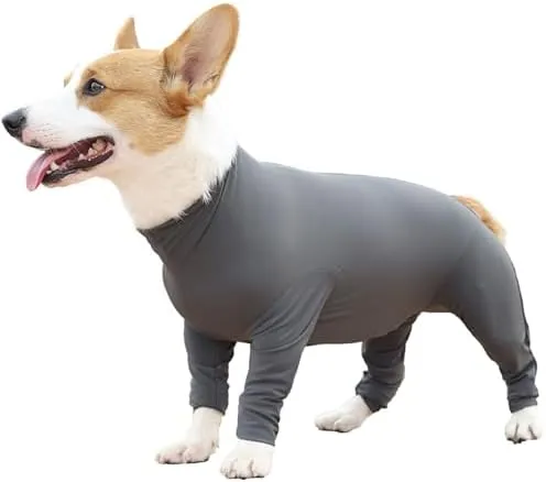 Etdane Dog Onesie