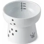 Necoichi Extra Tall Raised Cat Water Bowl (Cat)