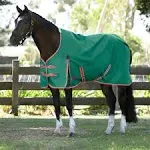 WeatherBeeta ComFITec Prelim Standard Neck Horse Turnout Blanket