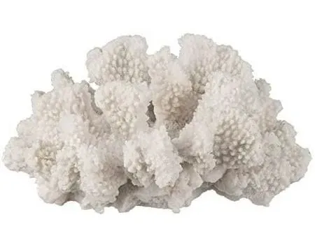 Nautical Crush Trading White Coral Decor Faux Coral Sculpture