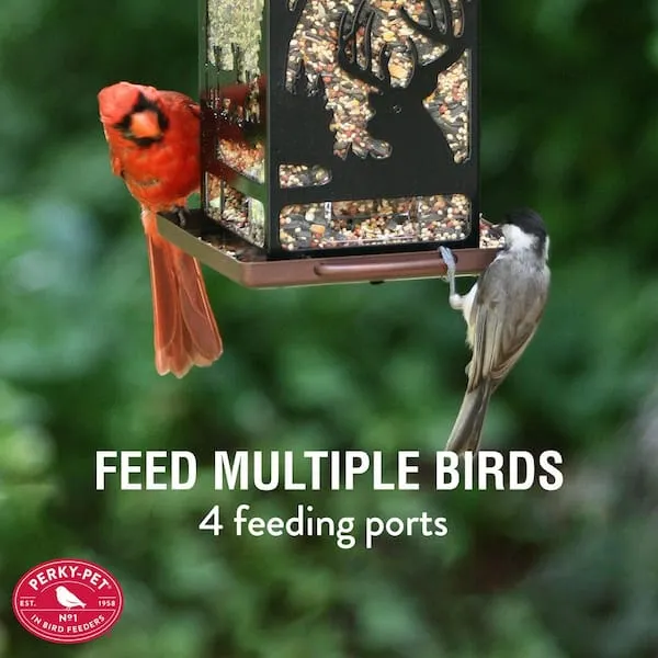 Perky-Pet Wilderness Lantern Bird Feeder