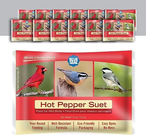 Blue Seal Hot Pepper Suet Cakes for Wild Birds - No Mess Suet Feed, Food for Woodpeckers, Cardinals, Siskins, Sparrows & More