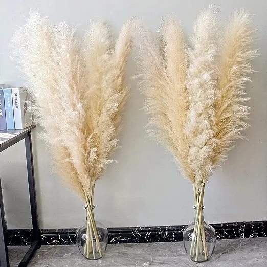 Bannifll 46&#034; inch 10 Stems Natural Pampas Grass Decor Tall, pompas Grass, Tall