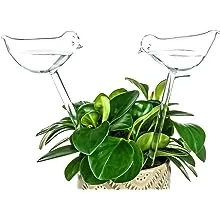 Kingbuy Self Watering Globes Plant Waterer Device Bird Shape Hand Blown Clear ...