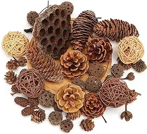 DomeStar 38PCS Pine Cone Set, Artificial Acorns Berry Craft and Natural