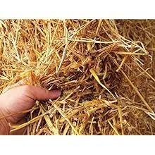 1 Cubic Foot of 100% All Natural Wheat Straw (4lbs)