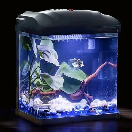 Betta Fish Tank, 2 Gallon Glass Aquarium, Small Fish Tank with Filter and LED Pl