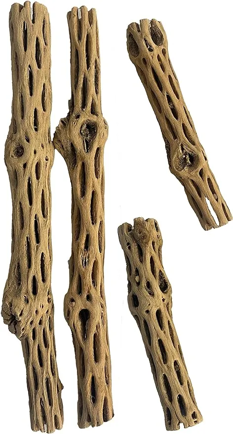 Awesome Aquatic Natural Cholla Choya Wood Combo 4 Pieces 2-12" & 2-6” Habitat for ...