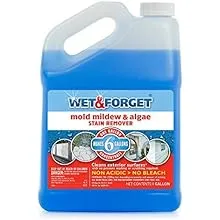 Wet & Forget Moss Mold & Mildew Stain Remover