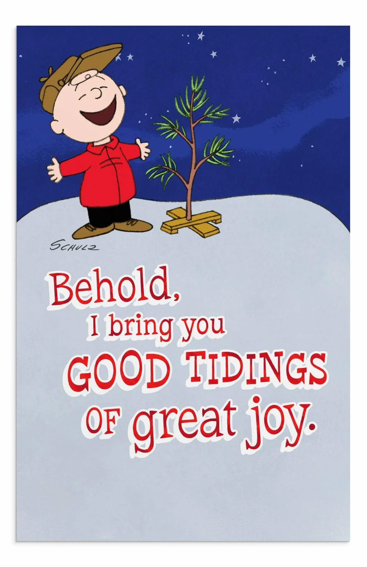 Good Tidings of Great Joy, 50 Peanuts Christmas Cards KJV | Dayspring