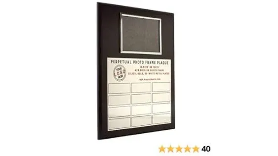 Perpetual Plaques - Great for Employee of the Month, Sponsered and Donated by Plaques and Sporting Awards. Order All Small Plates Now, or One at a Time Later (12 x 15" Photo)