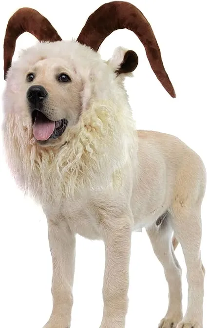 Onmygogo Funny Dog Halloween Costumes, Cute Furry Pet Wig for Halloween Christmas, Pet Clothing Accessories (Moose, Size M)