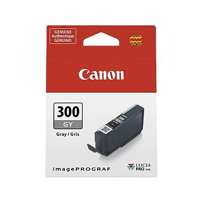 Canon 300 GY Gray Standard Yield Ink Cartridge (4200C002), Grey | Quill