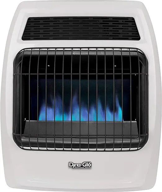 Dyna-Glo 20,000 BTU Natural Gas Blue Flame Vent Free Wall Heater