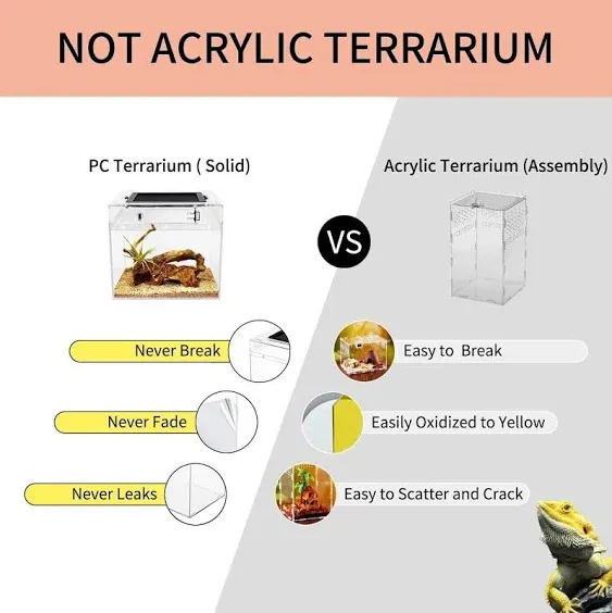 Mini Reptile Terrarium Insect，Tarantu<wbr/>la，Crab，Spider<wbr/>，Iguana，Tortoi<wbr/>se 8 x 8x 8