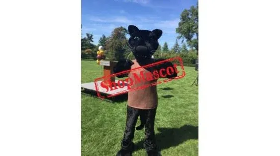 Superb Sport Black Panther Mascot Costume