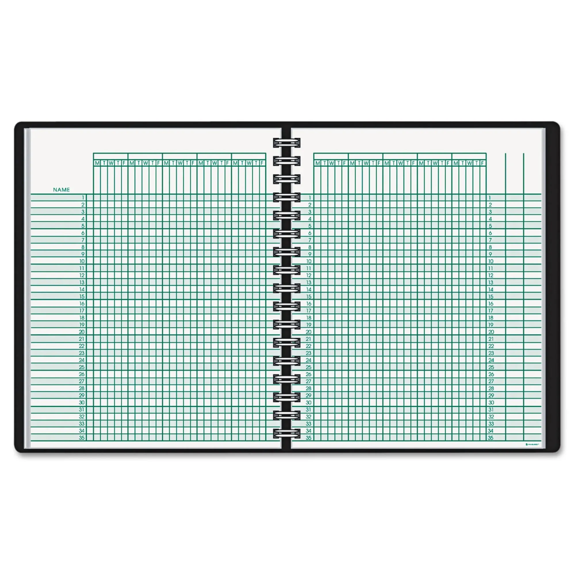 AT-A-GLANCE 8015005 Undated Class Record Book, 10 7/8 x 8 1/4, Black