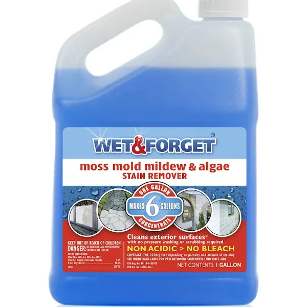 Wet and Forget 1-Gallon Multi-surface Concentrated Outdoor Cleaner